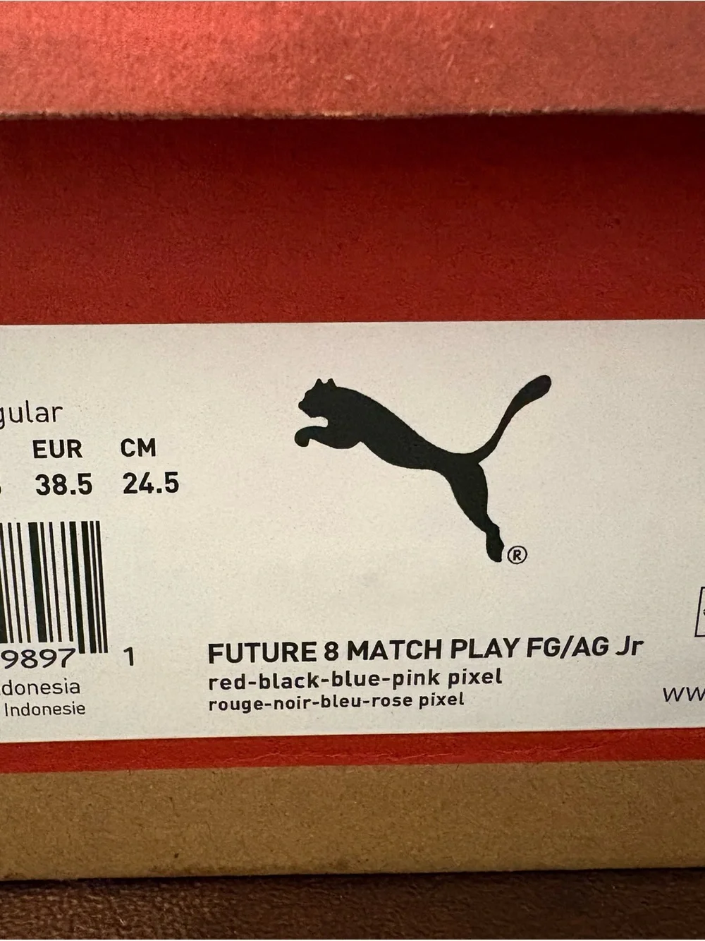 Puma future soccer
